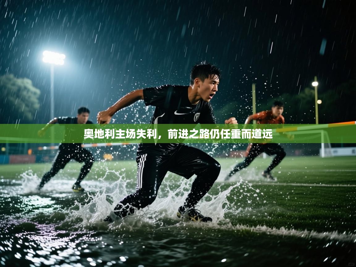 奥地利主场失利,前进之路仍任重而道远 第2张